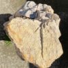 Grafsteen versteend hout 55095