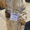 Grafsteen versteend hout 55096