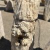 Grafsteen versteend hout 55096