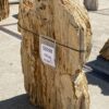 Grafsteen versteend hout 55098