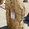 Grafsteen versteend hout 55098