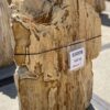 Grafsteen versteend hout 55098