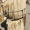 Grafsteen versteend hout 55098