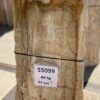 Grafsteen versteend hout 55099