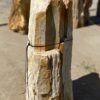 Grafsteen versteend hout 55099
