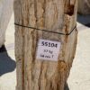 Grafsteen versteend hout 55104