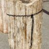 Grafsteen versteend hout 55104