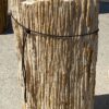 Grafsteen versteend hout 55104