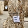 Grafsteen versteend hout 55105