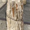 Grafsteen versteend hout 55105