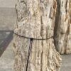 Grafsteen versteend hout 55105