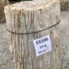 Grafsteen versteend hout 55106
