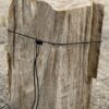 Grafsteen versteend hout 55106