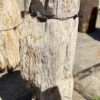 Grafsteen versteend hout 55109