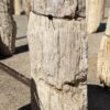 Grafsteen versteend hout 55109