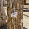 Grafsteen versteend hout 55111