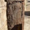 Grafsteen versteend hout 55111