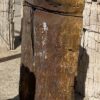 Grafsteen versteend hout 55111