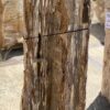 Grafsteen versteend hout 55111