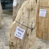 Grafsteen versteend hout 55113