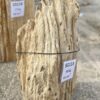 Grafsteen versteend hout 55113