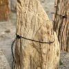 Grafsteen versteend hout 55113