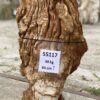 Grafsteen versteend hout 55117