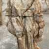 Grafsteen versteend hout 55117