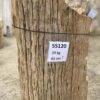 Grafsteen versteend hout 55120