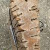 Grafsteen versteend hout 55120