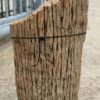 Grafsteen versteend hout 55120