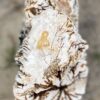 Grafsteen versteend hout 55122