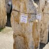 Grafsteen versteend hout 55123