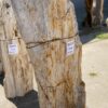 Grafsteen versteend hout 55123