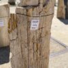 Grafsteen versteend hout 55127