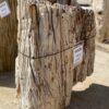 Grafsteen versteend hout 55128