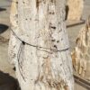 Grafsteen versteend hout 55128