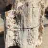 Grafsteen versteend hout 55128