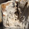 Grafsteen versteend hout 55128