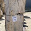 Grafsteen versteend hout 55129