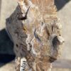 Grafsteen versteend hout 55129