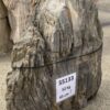 Grafsteen versteend hout 55133