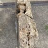 Grafsteen versteend hout 55135