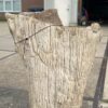 Grafsteen versteend hout 55135
