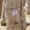 Grafsteen versteend hout 55310