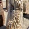 Grafsteen versteend hout 55310