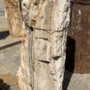 Grafsteen versteend hout 55310