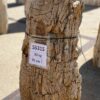 Grafsteen versteend hout 55315