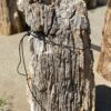 Grafsteen versteend hout 55315