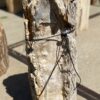 Grafsteen versteend hout 55315